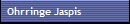 Ohrringe Jaspis